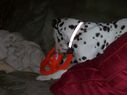 Filename=100_0500.JPG
Filesize=243KiB
Dimensions=2047x1534
Date added=Feb 01, 2018 100_0500.JPG