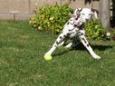 Filename=100_0502.JPG
Filesize=492KiB
Dimensions=2047x1534
Date added=Feb 01, 2018 100_0502.JPG