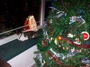 Filename=100_0509.JPG
Filesize=601KiB
Dimensions=2047x1534
Date added=Feb 01, 2018 100_0509.JPG