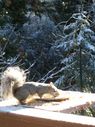 Filename=100_0524.JPG
Filesize=387KiB
Dimensions=1534x2047
Date added=Feb 01, 2018 100_0524.JPG