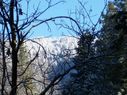 Filename=100_0525.JPG
Filesize=439KiB
Dimensions=2047x1534
Date added=Feb 01, 2018 100_0525.JPG