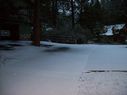 Filename=100_0539.JPG
Filesize=355KiB
Dimensions=2047x1534
Date added=Feb 01, 2018 100_0539.JPG
