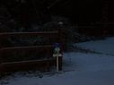 Filename=100_0540.JPG
Filesize=257KiB
Dimensions=2047x1534
Date added=Feb 01, 2018 100_0540.JPG