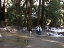 Filename=100_0545.JPG
Filesize=441KiB
Dimensions=2047x1534
Date added=Feb 01, 2018 100_0545.JPG