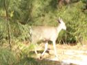 Filename=100_0548.JPG
Filesize=322KiB
Dimensions=2047x1534
Date added=Feb 01, 2018 100_0548.JPG