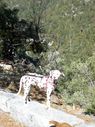 Filename=100_0555.JPG
Filesize=723KiB
Dimensions=1534x2047
Date added=Feb 01, 2018 100_0555.JPG