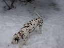 Filename=100_0561.JPG
Filesize=221KiB
Dimensions=2047x1534
Date added=Feb 01, 2018 100_0561.JPG