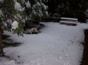 Filename=100_0562.JPG
Filesize=290KiB
Dimensions=2047x1534
Date added=Feb 01, 2018 100_0562.JPG