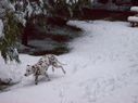 Filename=100_0563.JPG
Filesize=522KiB
Dimensions=2047x1534
Date added=Feb 01, 2018 100_0563.JPG