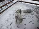 Filename=100_0566.JPG
Filesize=327KiB
Dimensions=2047x1534
Date added=Feb 01, 2018 100_0566.JPG