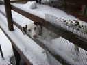 Filename=100_0567.JPG
Filesize=455KiB
Dimensions=2047x1534
Date added=Feb 01, 2018 100_0567.JPG