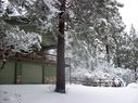 Filename=100_0569.JPG
Filesize=711KiB
Dimensions=2047x1534
Date added=Feb 01, 2018 100_0569.JPG