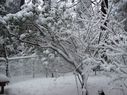 Filename=100_0572.JPG
Filesize=639KiB
Dimensions=2047x1534
Date added=Feb 01, 2018 100_0572.JPG