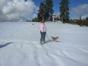 Filename=100_0579.JPG
Filesize=272KiB
Dimensions=2047x1534
Date added=Feb 01, 2018 100_0579.JPG