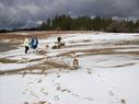 Filename=100_0584.JPG
Filesize=374KiB
Dimensions=2047x1534
Date added=Feb 01, 2018 100_0584.JPG