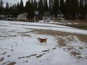 Filename=100_0589.JPG
Filesize=433KiB
Dimensions=2047x1534
Date added=Feb 01, 2018 100_0589.JPG