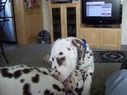 Filename=100_0636.JPG
Filesize=481KiB
Dimensions=2047x1534
Date added=Feb 01, 2018 100_0636.JPG