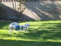 Filename=100_0639.JPG
Filesize=514KiB
Dimensions=2047x1534
Date added=Feb 01, 2018 100_0639.JPG