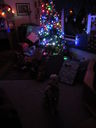 Filename=IMG_0513.JPG
Filesize=281KiB
Dimensions=1536x2048
Date added=Feb 01, 2018 IMG_0513.JPG