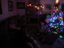 Filename=IMG_0514.JPG
Filesize=258KiB
Dimensions=2048x1536
Date added=Feb 01, 2018 IMG_0514.JPG