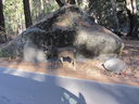 Filename=IMG_0537.JPG
Filesize=734KiB
Dimensions=2048x1536
Date added=Feb 01, 2018 IMG_0537.JPG