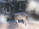 Filename=IMG_0538.JPG
Filesize=681KiB
Dimensions=2048x1536
Date added=Feb 01, 2018 IMG_0538.JPG