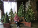 Filename=IMG_0539.JPG
Filesize=385KiB
Dimensions=2048x1536
Date added=Feb 01, 2018 IMG_0539.JPG