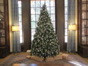 Filename=IMG_0542.JPG
Filesize=566KiB
Dimensions=2048x1536
Date added=Feb 01, 2018 IMG_0542.JPG