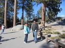 Filename=IMG_0566.JPG
Filesize=860KiB
Dimensions=2048x1536
Date added=Feb 01, 2018 IMG_0566.JPG