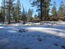 Filename=IMG_0574.JPG
Filesize=721KiB
Dimensions=2048x1536
Date added=Feb 01, 2018 IMG_0574.JPG