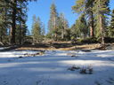 Filename=IMG_0575.JPG
Filesize=672KiB
Dimensions=2048x1536
Date added=Feb 01, 2018 IMG_0575.JPG