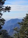 Filename=IMG_0579.JPG
Filesize=522KiB
Dimensions=1536x2048
Date added=Feb 01, 2018 IMG_0579.JPG