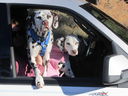 Filename=IMG_0581.JPG
Filesize=367KiB
Dimensions=2048x1536
Date added=Feb 01, 2018 IMG_0581.JPG