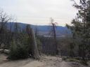 Filename=IMG_0586.JPG
Filesize=413KiB
Dimensions=2048x1536
Date added=Feb 01, 2018 IMG_0586.JPG