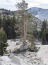 Filename=IMG_0595.JPG
Filesize=584KiB
Dimensions=1536x2048
Date added=Feb 01, 2018 IMG_0595.JPG