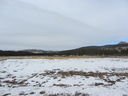 Filename=IMG_0599.JPG
Filesize=348KiB
Dimensions=2048x1536
Date added=Feb 01, 2018 IMG_0599.JPG