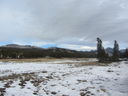 Filename=IMG_0600.JPG
Filesize=381KiB
Dimensions=2048x1536
Date added=Feb 01, 2018 IMG_0600.JPG