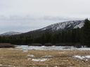 Filename=IMG_0604.JPG
Filesize=360KiB
Dimensions=2048x1536
Date added=Feb 01, 2018 IMG_0604.JPG
