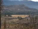 Filename=IMG_0625.JPG
Filesize=492KiB
Dimensions=2048x1536
Date added=Feb 01, 2018 IMG_0625.JPG