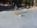 Filename=IMG_0645.JPG
Filesize=473KiB
Dimensions=2048x1536
Date added=Feb 01, 2018 IMG_0645.JPG