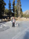 Filename=IMG_0646.JPG
Filesize=583KiB
Dimensions=1536x2048
Date added=Feb 01, 2018 IMG_0646.JPG
