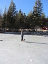 Filename=IMG_0650.JPG
Filesize=594KiB
Dimensions=1536x2048
Date added=Feb 01, 2018 IMG_0650.JPG