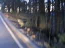 Filename=IMG_0653.JPG
Filesize=365KiB
Dimensions=2048x1536
Date added=Feb 01, 2018 IMG_0653.JPG