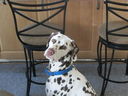 Filename=IMG_0656.JPG
Filesize=399KiB
Dimensions=2048x1536
Date added=Feb 01, 2018 IMG_0656.JPG