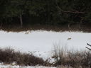 IMG_0675.JPG