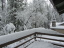 Filename=IMG_0704.JPG
Filesize=695KiB
Dimensions=2048x1536
Date added=Feb 01, 2018 IMG_0704.JPG