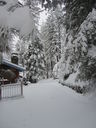 Filename=IMG_0705.JPG
Filesize=559KiB
Dimensions=1536x2048
Date added=Feb 01, 2018 IMG_0705.JPG