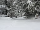 Filename=IMG_0708.JPG
Filesize=627KiB
Dimensions=2048x1536
Date added=Feb 01, 2018 IMG_0708.JPG