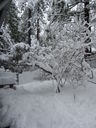 Filename=IMG_0710.JPG
Filesize=612KiB
Dimensions=1536x2048
Date added=Feb 01, 2018 IMG_0710.JPG