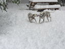 Filename=IMG_0712.JPG
Filesize=265KiB
Dimensions=2048x1536
Date added=Feb 01, 2018 IMG_0712.JPG